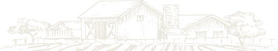 Image not found